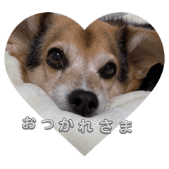yumi_20250912145406