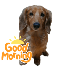 tonton_20250912151555