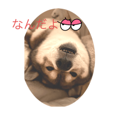 yuka_20250912164106
