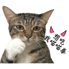 鄭琥珀的小劇場