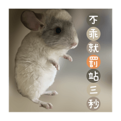 Ya迪的專屬貼圖