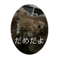h_20250912193537