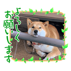 yuto_20250912204942