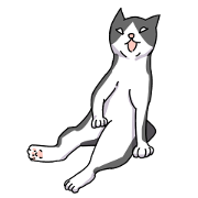 Pose cat