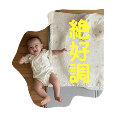 sakura_20250912162103