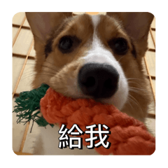 支持謝欣達 台灣會發達