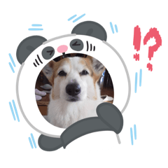 AYUMI_20250912220138