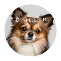 kasuporo_20250912175107