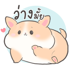 คอร์กี้ หมาน้อยผู้น่ารัก