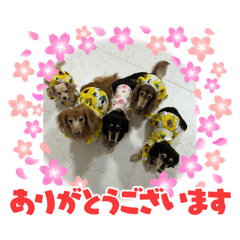 yuka_20250912195946