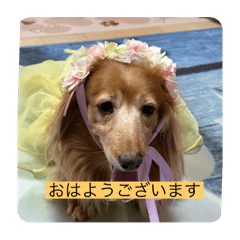 yuka_20250912200517
