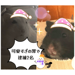 Rili_20250913023646