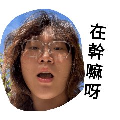 金毛是隻可愛狗