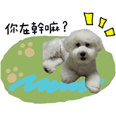 萌萌萌萌萌雪寶