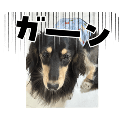 yuka_20250912203011