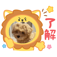 suzu_20250912213007