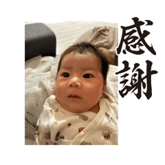 koara_20250912213417