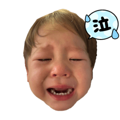 sakura_20250912213851