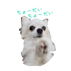 meimei_20250912223129