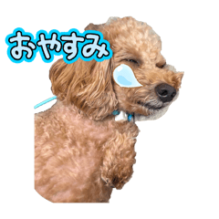 wannekokazomu