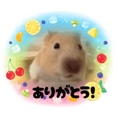 kiki_202509