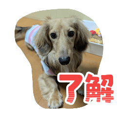 HANA_20250913084559