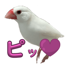 natsumi_20250913011809