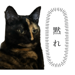 sanpopo_20250913011230
