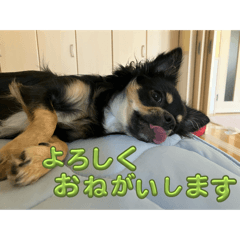 yumi_20250913120051