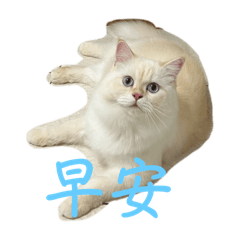 迪迪娜娜的日常