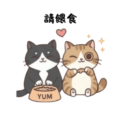 兄弟貓-日常生活篇