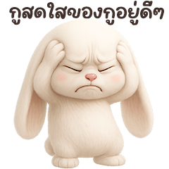 ❤️กระต่ายน้อย ตัวตึง❤️