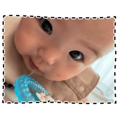 ringo_20250913095155