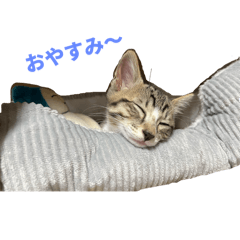 serina_20250913095541