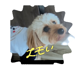 meimei_20250913130957