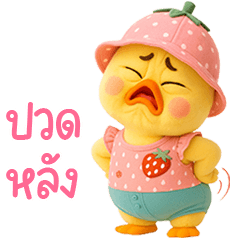 เจ้าเป็ดหน้าบูดชุดหวานแหวว 35