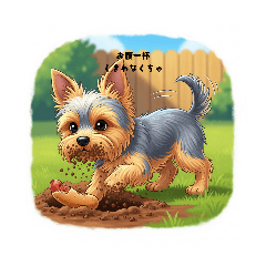 sugar_20250913104631