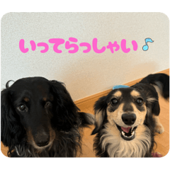 sherry_20250913162427