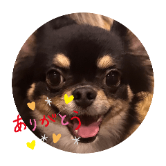 sskusan0626_20250913175945