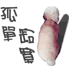 旺旺很膽小