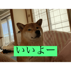 Akari_20250913175858