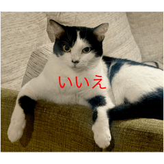 koromi_20250913202041