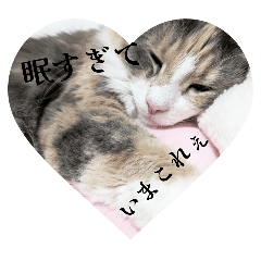 runa_206427584378784346