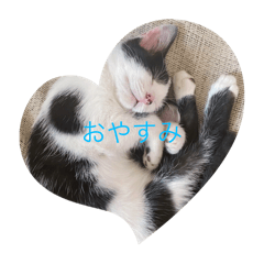 koromi_20250913202943