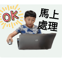 kokodavid