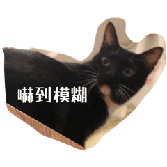 黑貓妞妞～鄙視人類中