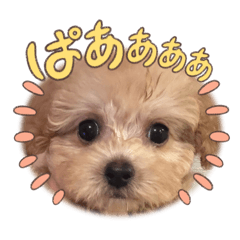 mosuke_20250913215513