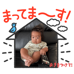 sakura_20250913225936