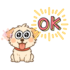 犬　顔いろいろ