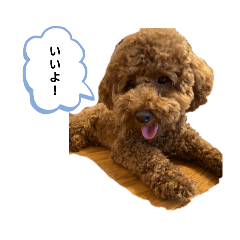 hana_20250913201548